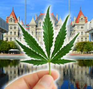 DHC News NYS Gov. Hochul Cannabis Appointments Confirmed