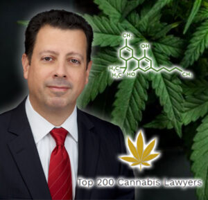 DHC's Malito Ranked Among Top 200 Cannabis Lawyers Globally