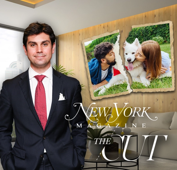 Citron in NY Magazine’s “The Cut” on Pet Custody in Divorce