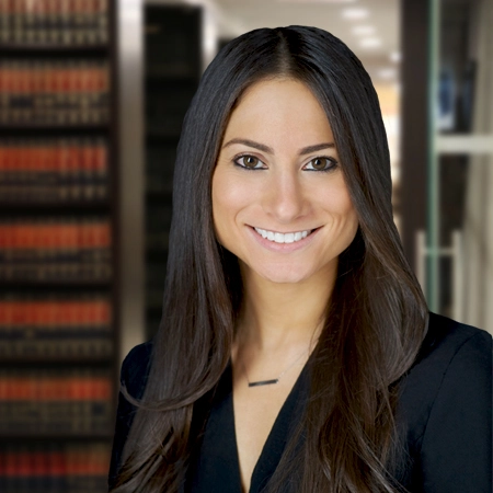 Lauren J. Sakofsky - Divorce and Family Law Lawyer - NYC